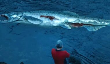 "Ich hätte meinen Mund halten sollen": Der vielleicht beste Schauspieler unserer Zeit kehrt nach 8 Jahren zurück – und hat dazugelernt - Kino News