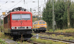 155049 310825 001