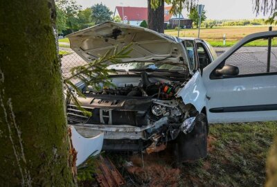 PKW kracht durch Gartenzaun: Fahrer flüchtet von Unfallstelle bei Leisnig - PKW kracht durch Gartenzaun.