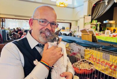 Samtpfoten zum Anfassen: Wer schnurrt denn da in Chemnitz? - Zum ersten Mal ist an diesem Wochenende der Westsächsische Cat Club mit einer Katzenausstellung in Chemnitz zu Gast. Foto: Steffi Hofmann