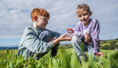 Wie Grundschüler aus Chemnitz die Natur im Erzgebirge entdecken