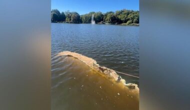 Ein schwimmendes Mysterium sorgt für Gesprächsstoff