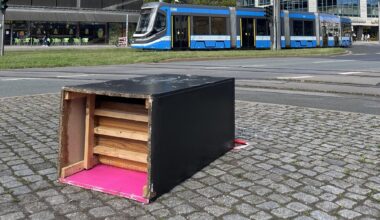 Chemnitz: Ein Goldhase ist verschwunden