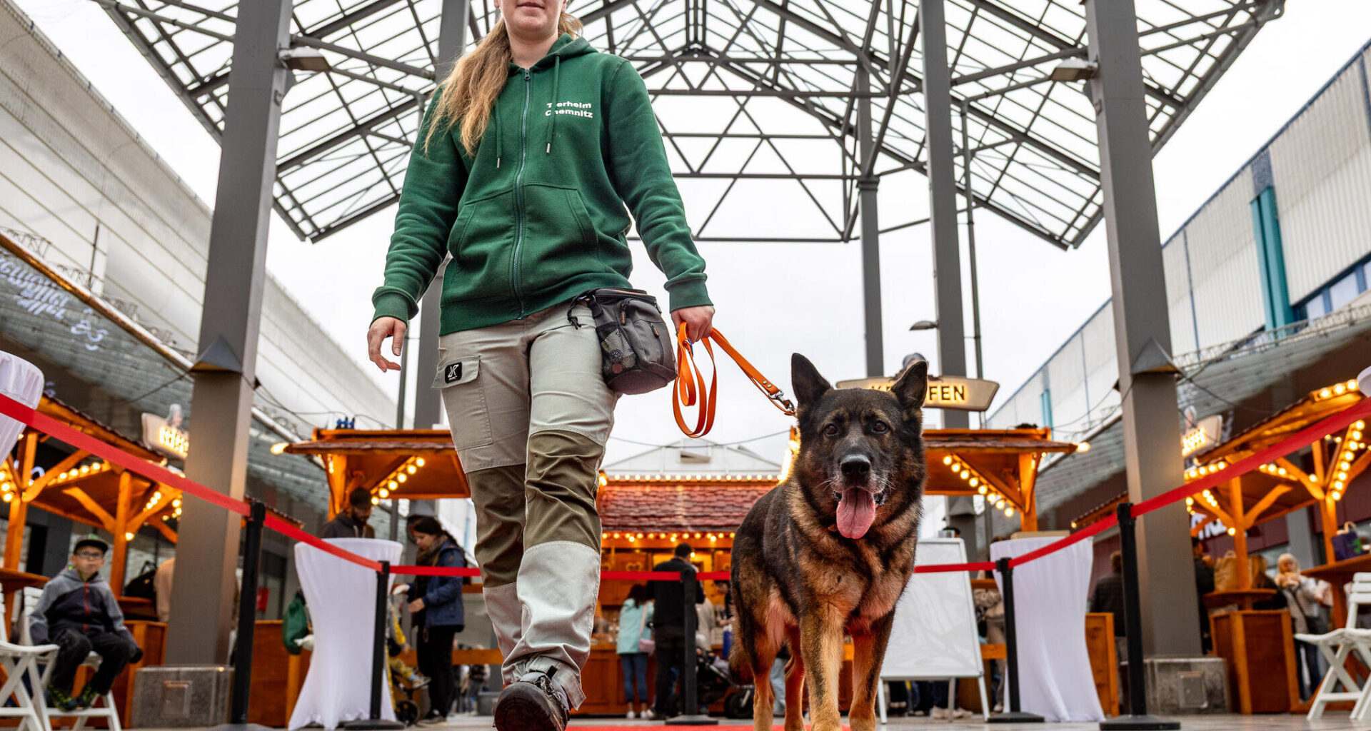 Warum Schäferhündin Cora ein neues Zuhause braucht