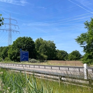 Die A643 führt direkt durch das Landschaftsschutzgebiet Mainzer Sand