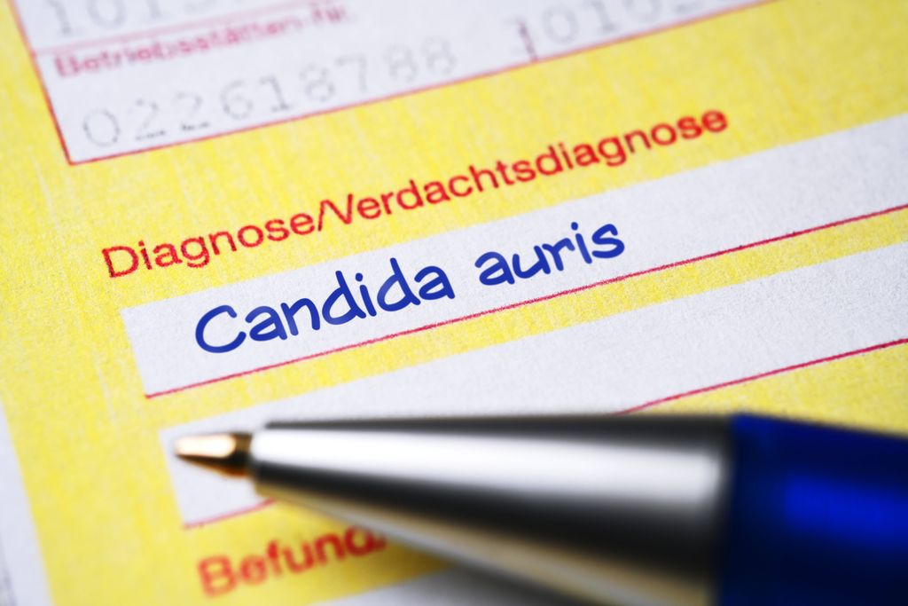 Ärztlicher Überweisungsschein mit Diagnose Candida auris.