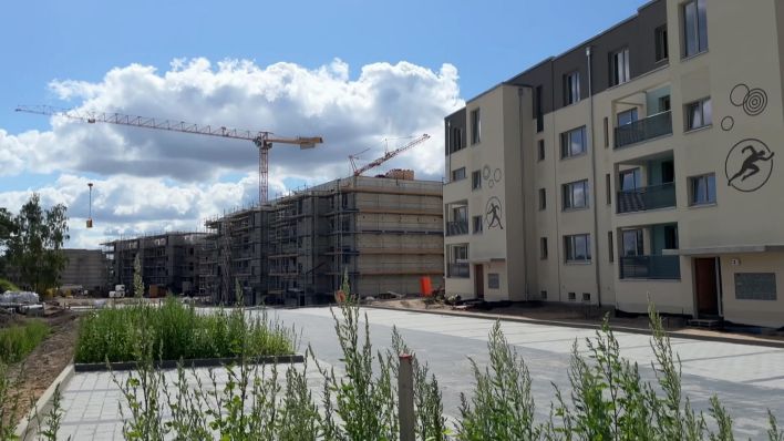 Neubaugebiet Elstal. (Quelle: rbb)