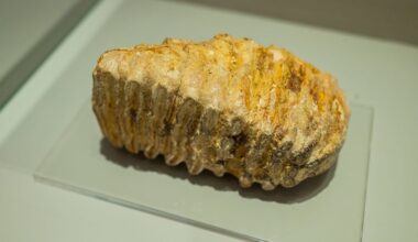 Teilweise bewölkt