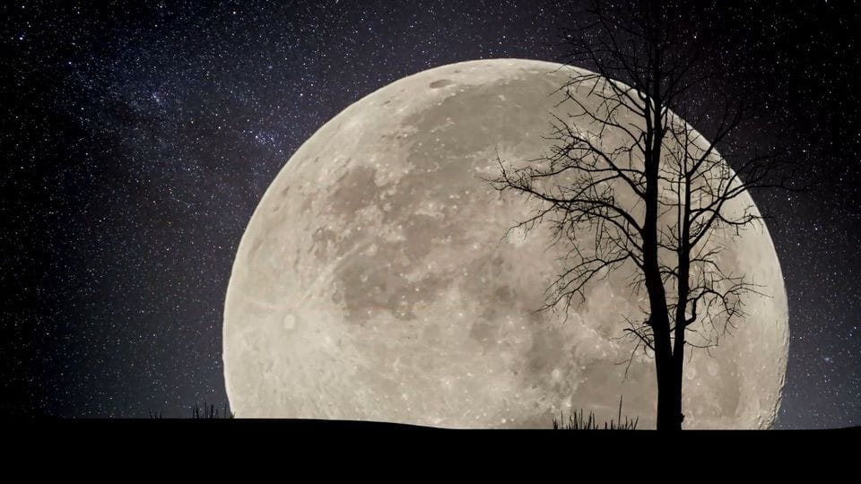 Mond (Symbolbild): In der Sonntagnacht lässt sich ein besonderes Himmelsereignis bestaunen.
