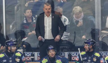 Eisbären wollen Wiedergutmachung gegen Wolfsverbrenner