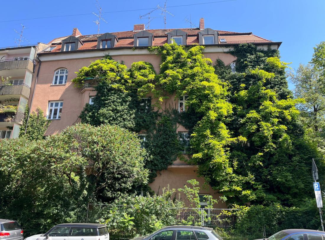 In Unkraut und Efeu untergehend steht im Münchner Viertel Schwabing-West das stille und leere „Dschungel-Haus“. 