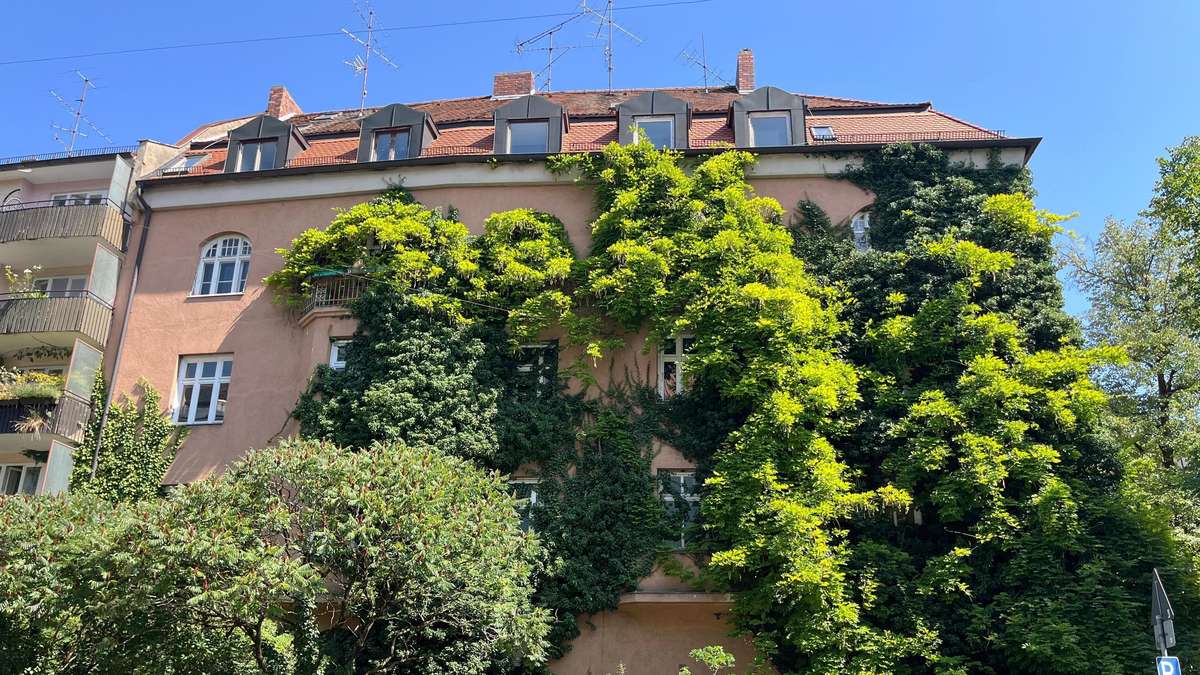 Das Münchner Dschungel-Haus: „Leute wurden einfach herausgekegelt“