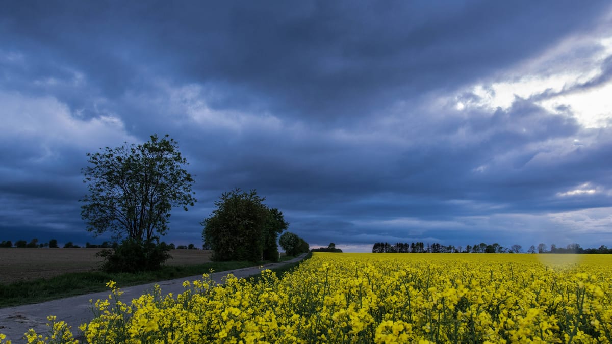 Teilweise bewölkt
