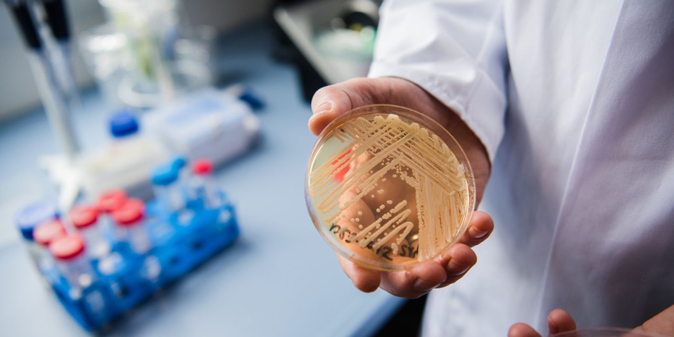 Candida Auris: EU-Bericht zeigt Zunahme der Pilz-Infektionen
