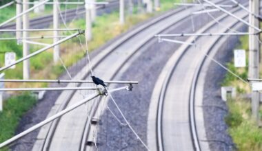 Schienenverkehr: Bahnverkehr in NRW sowie zwischen Berlin und Hamburg gestört