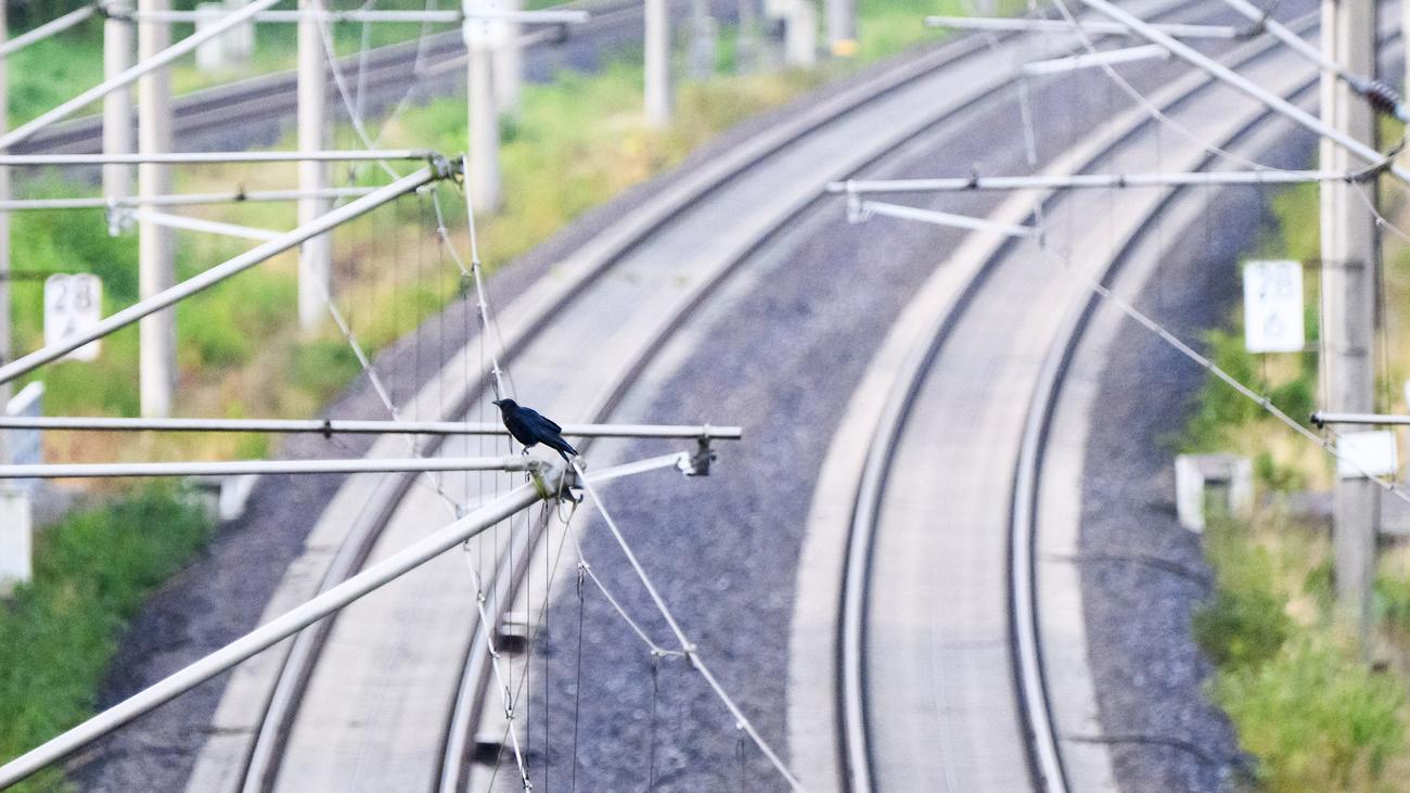 Schienenverkehr: Bahnverkehr in NRW sowie zwischen Berlin und Hamburg gestört