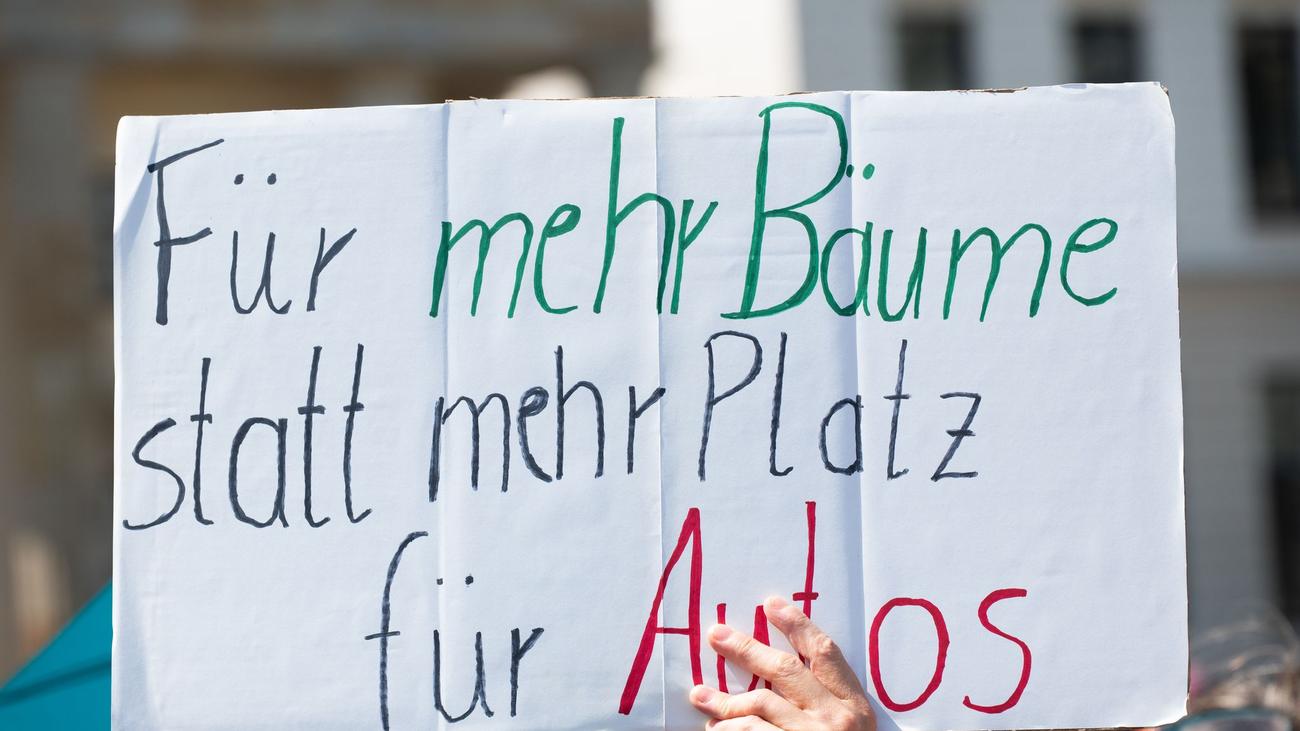 Klimaschutz: Initiative drängt auf Beschluss für mehr Bäume in Berlin