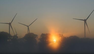 Wetter: Kühle Nächte und sonnige Tage in Berlin und Brandenburg