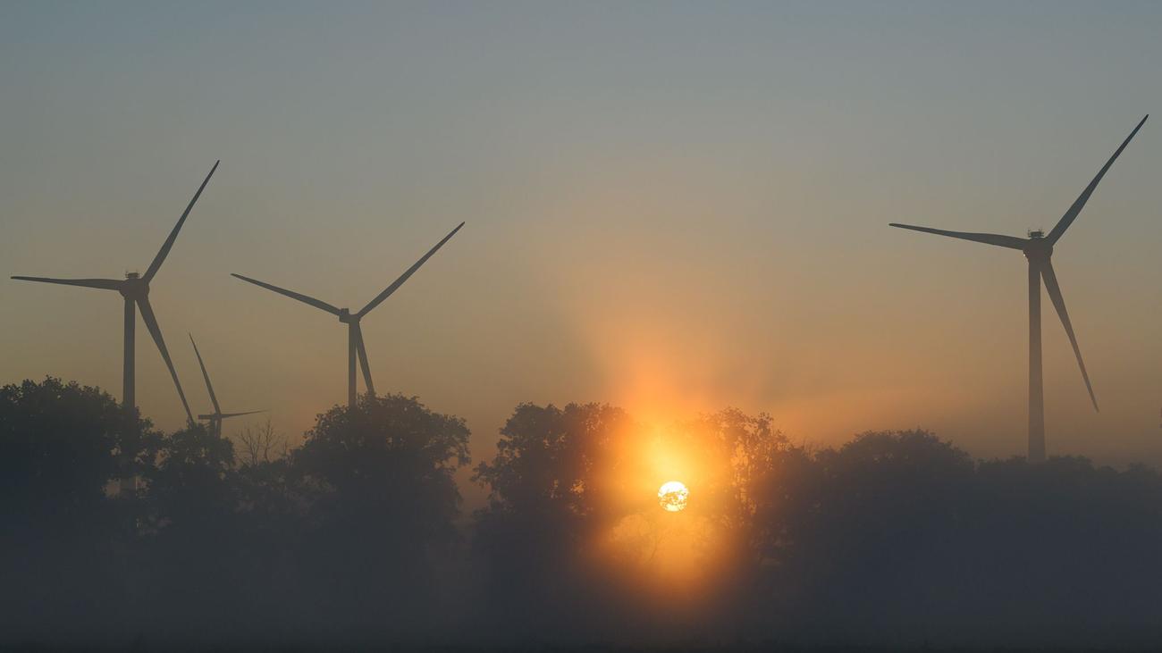 Wetter: Kühle Nächte und sonnige Tage in Berlin und Brandenburg