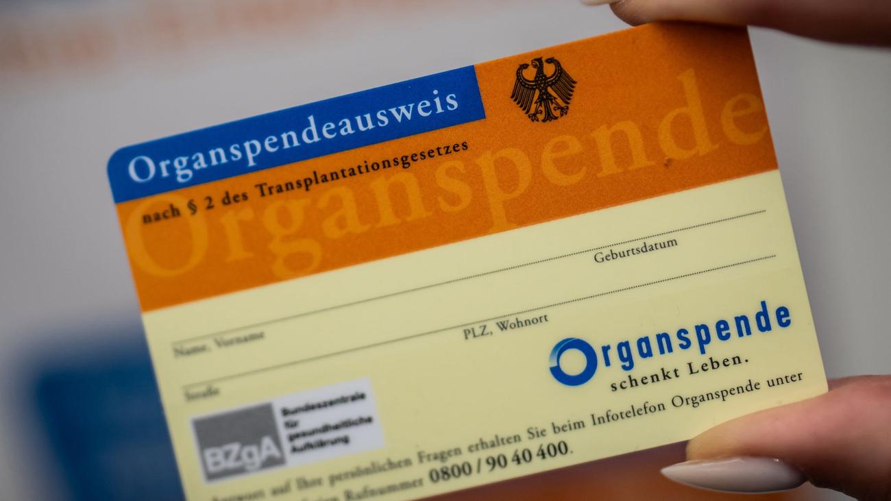 Leben schenken: Zentrale Danke-Veranstaltung für Organspender in Halle