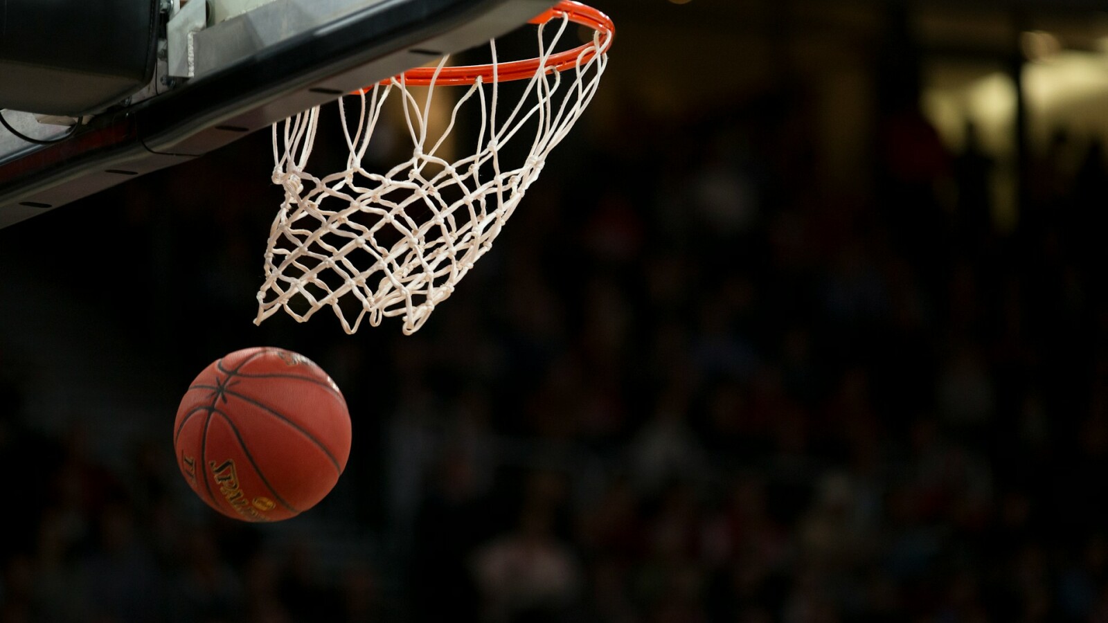 Ratiopharm Ulm gegen Chemnitz 99ers: So empfangt ihr die BBL-Partie kostenlos im TV und Live-Stream