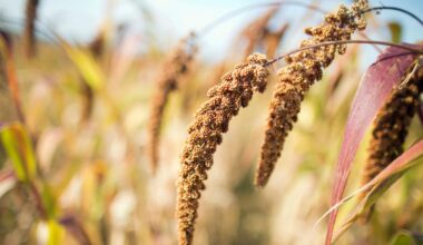Essen & Trinken: Versuchsküche begleitet Wandel in der Landwirtschaft