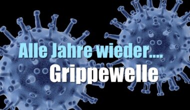 Influenzaviren (A und B) bescheren uns jedes Jahr eine Grippewelle