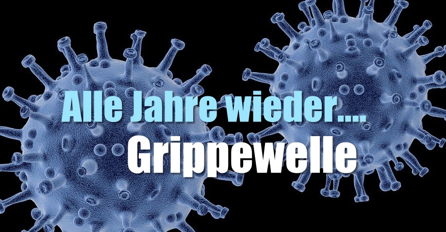 Influenzaviren (A und B) bescheren uns jedes Jahr eine Grippewelle
