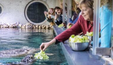 Angela Merkel: Im Zeichen der Schildkröte