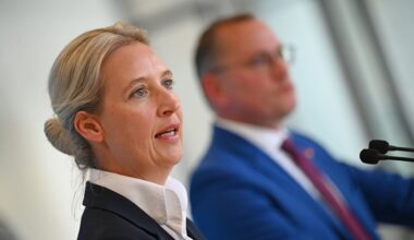 Um mehr Wähler zu gewinnen: Plötzlich setzt die AfD auf dieses Thema! | Politik