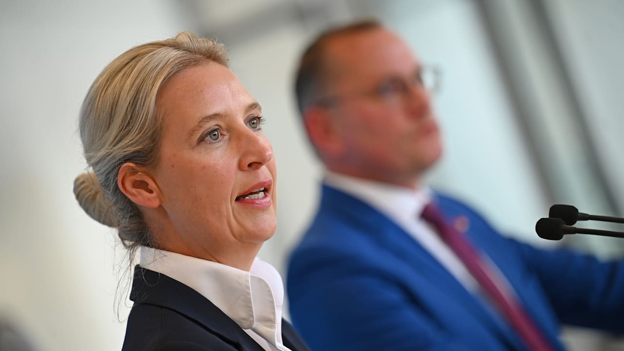 Um mehr Wähler zu gewinnen: Plötzlich setzt die AfD auf dieses Thema! | Politik
