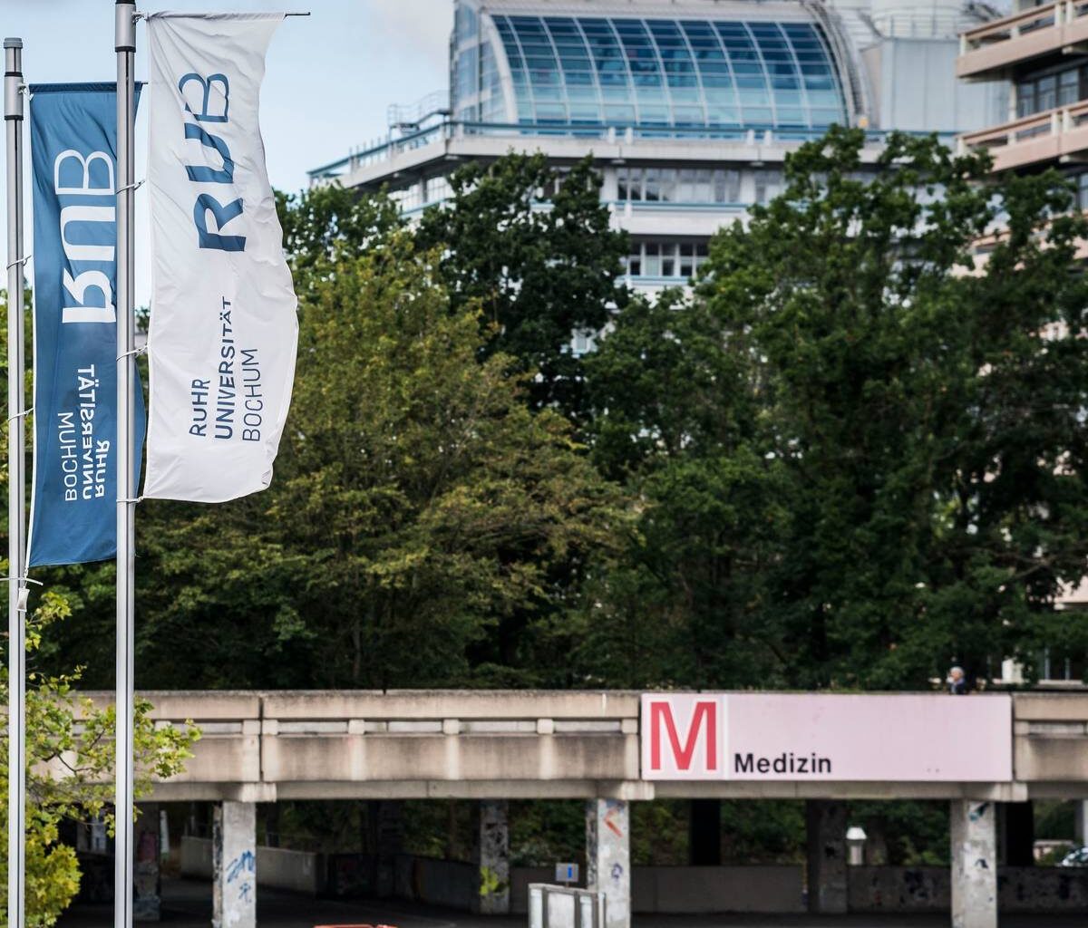 Spinnenangst behandeln an der Ruhr-Universität Bochum