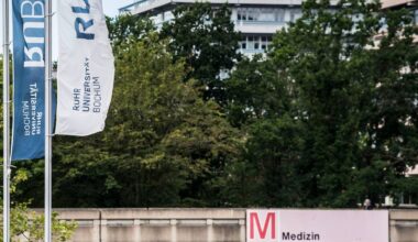 Spinnenangst behandeln an der Ruhr-Universität Bochum