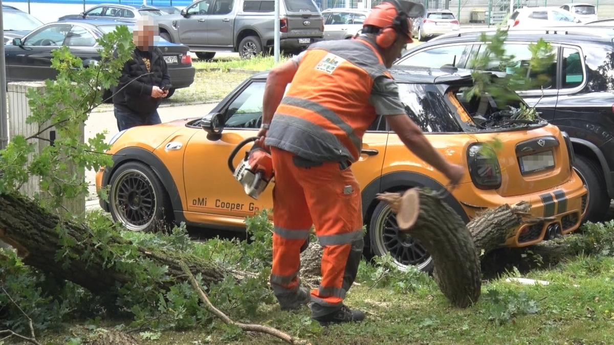 So wirkte sich der Sturm Zack auf Osnabrück und die Region aus