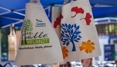 Erfolgreicher Auftakt für „Halle pflanzt“ beim Umweltbildungstag