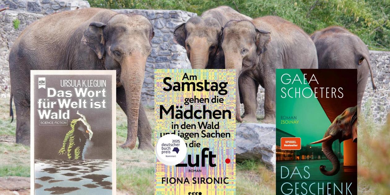 Satire und politische Romane: Bücher mit einer Botschaft