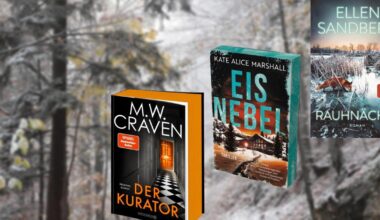 Neue Bücher im November 2025: Diese Thriller erwarten uns