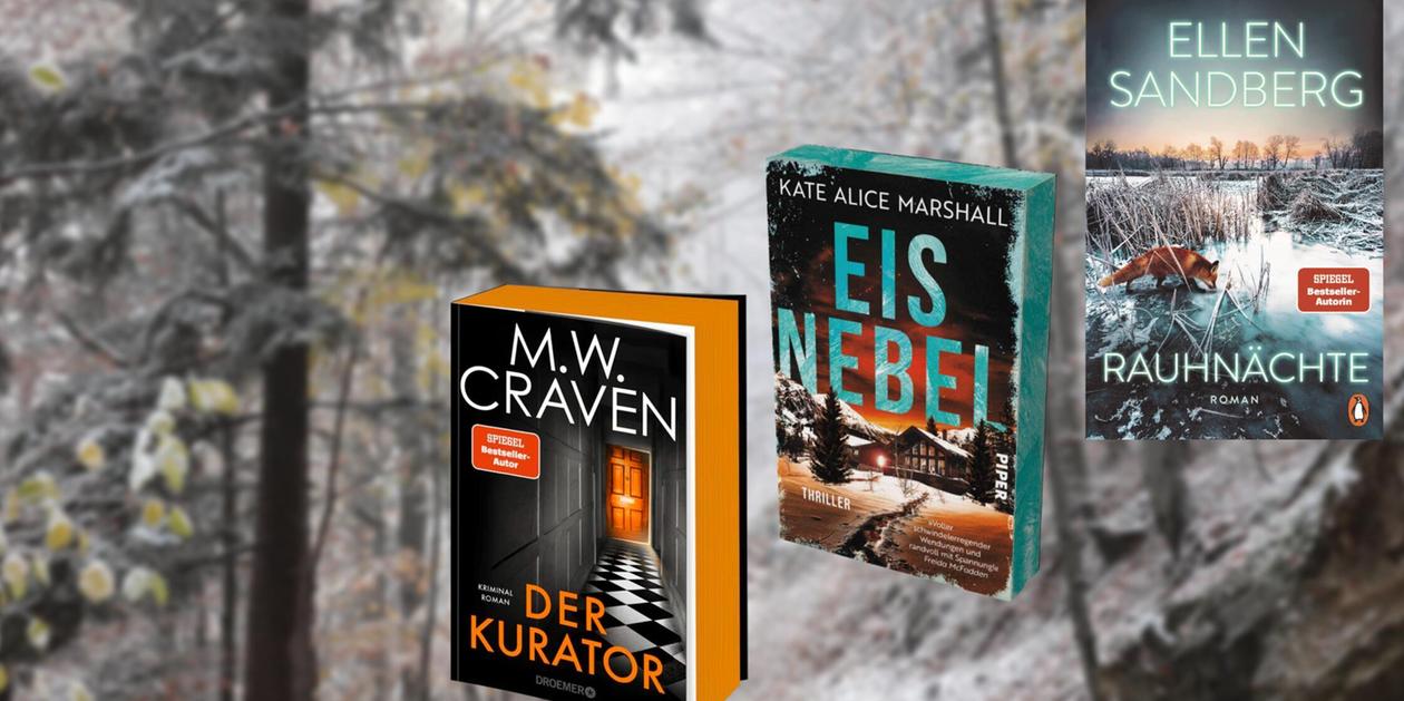 Neue Bücher im November 2025: Diese Thriller erwarten uns