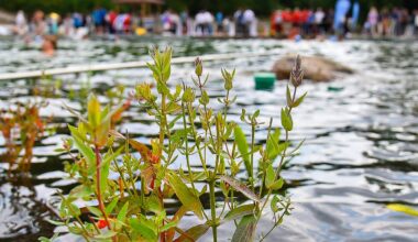 Freibadsaison in Bochum-Linden beendet - Radio Bochum