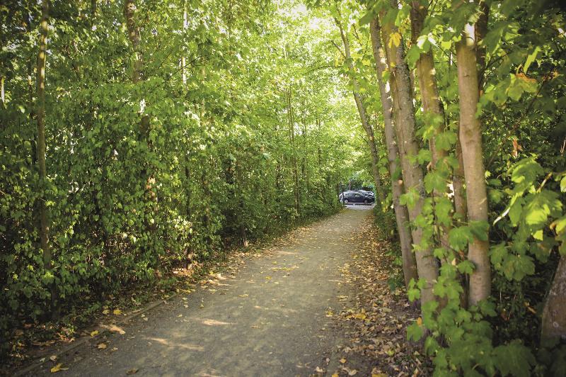 Betonwald — kreuzer online
