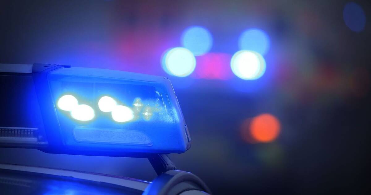 Mannheim: 19-Jähriger flüchtet vor Polizei und baut Unfall - Polizeiberichte aus Rhein-Neckar-Odenwald