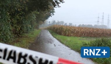 Tote bei Mannheimer Pferderennbahn: Belastungszeuge verweigert im Mordprozess weiter die Aussage – Beugehaft - Mannheim und Metropolregion Rhein-Neckar - Nachrichten und Aktuelles