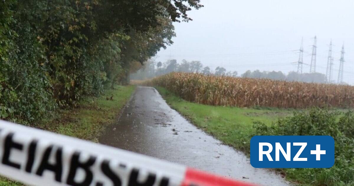 Tote bei Mannheimer Pferderennbahn: Belastungszeuge verweigert im Mordprozess weiter die Aussage – Beugehaft - Mannheim und Metropolregion Rhein-Neckar - Nachrichten und Aktuelles