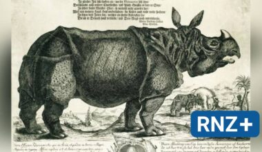 Naturalienkabinett: Wie Nashorn Clara in die Quadrate kam - Mannheim und Metropolregion Rhein-Neckar - Nachrichten und Aktuelles