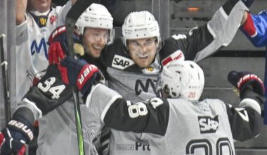 Adler Mannheim gegen Ingolstadt: Mausgrau, aber Tabellenführer - Sport aus der Region - Nachrichten und Aktuelles