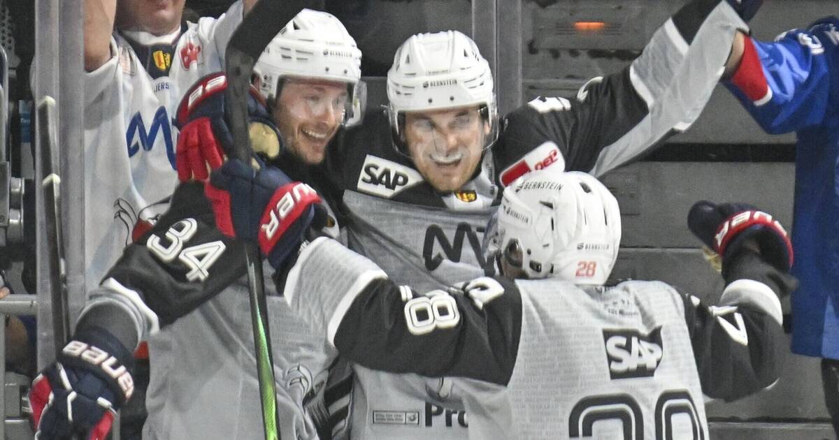Adler Mannheim gegen Ingolstadt: Mausgrau, aber Tabellenführer - Sport aus der Region - Nachrichten und Aktuelles
