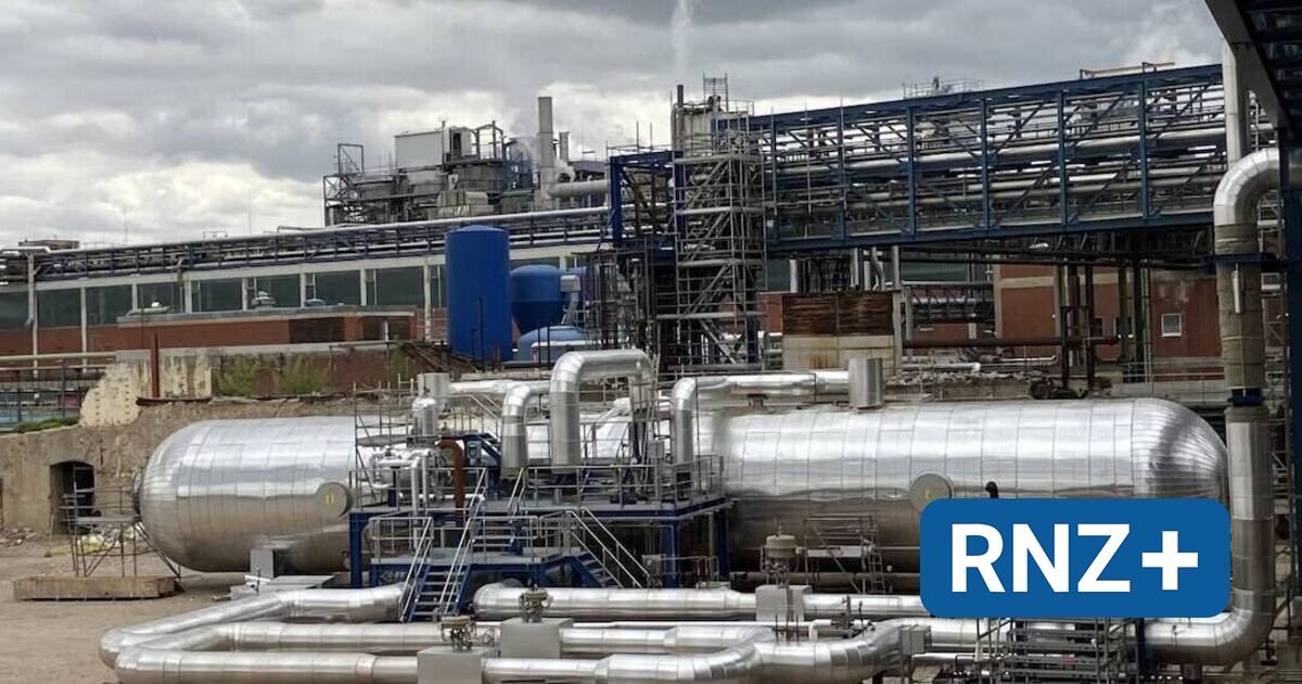 Mannheim: Essity nimmt Dampfspeicher in Betrieb - Wirtschaft Regional