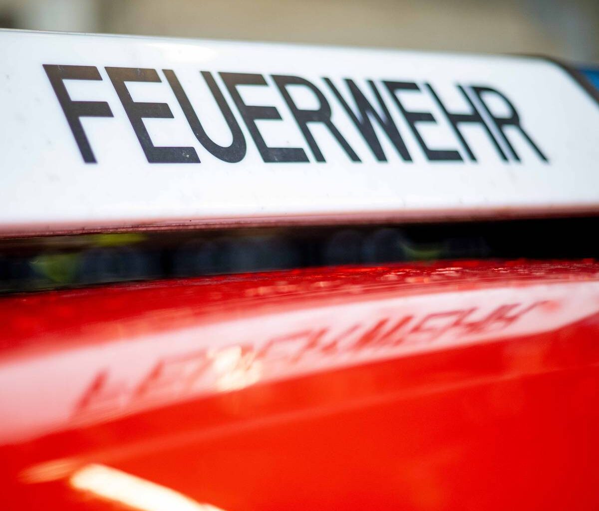 Bäume stürzen auf Autos in Gelsenkirchen