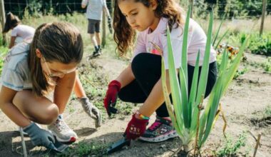 Essen: Krupp-Stiftung fördert mit „ImPulsRuhr“ Projekte im Ruhrgebiet
