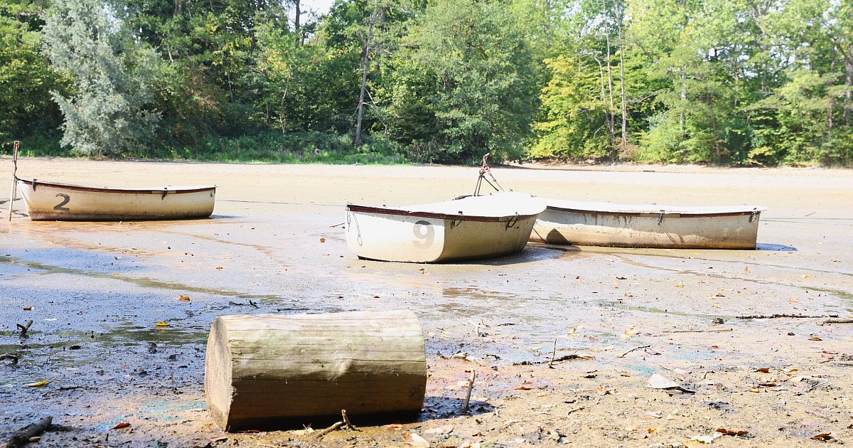 Ausgetrocknete Fischteiche – Stadt Paderborn schließt drastische Konsequenzen nicht aus - nw.de